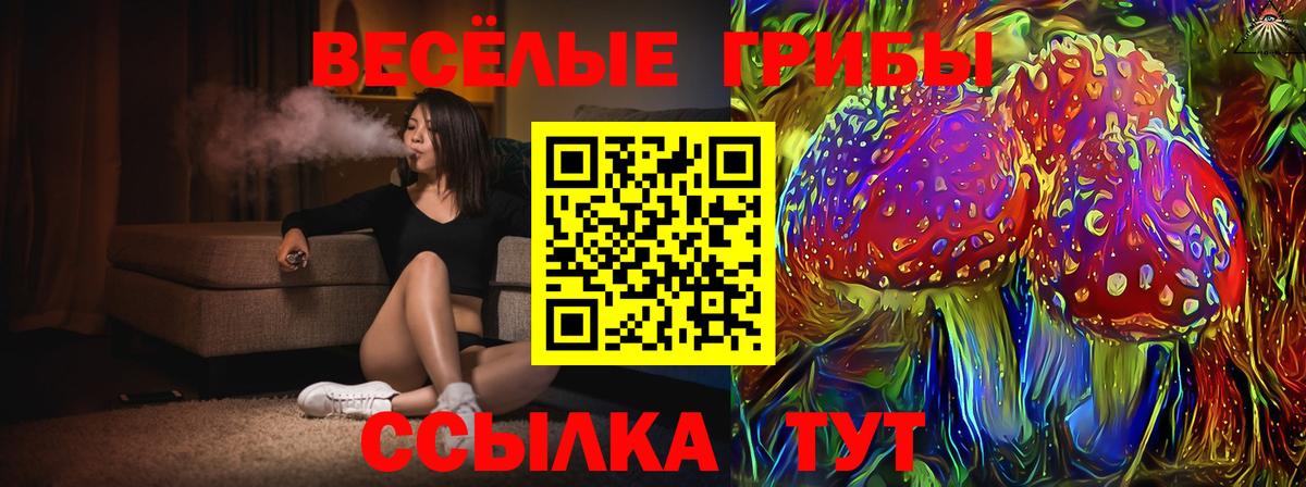 Галлюциногенные грибы Cubensis  Вход с VPN  Зерноград 